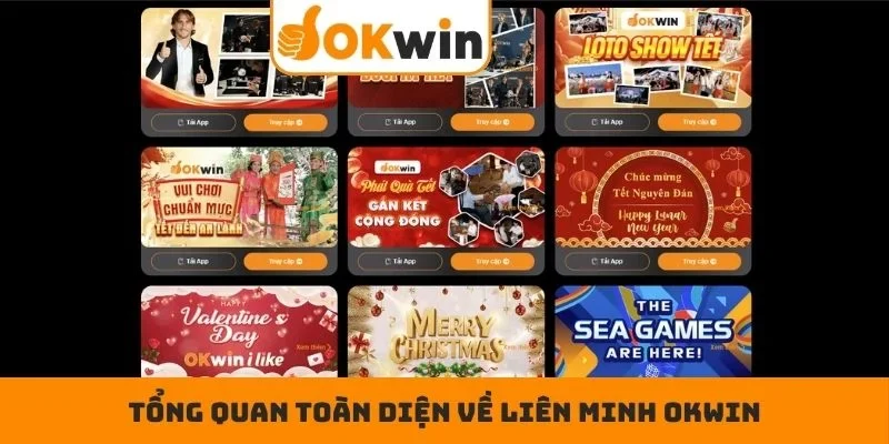 Tổng quan toàn diện về liên minh OKWIN